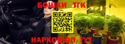гидра Можга