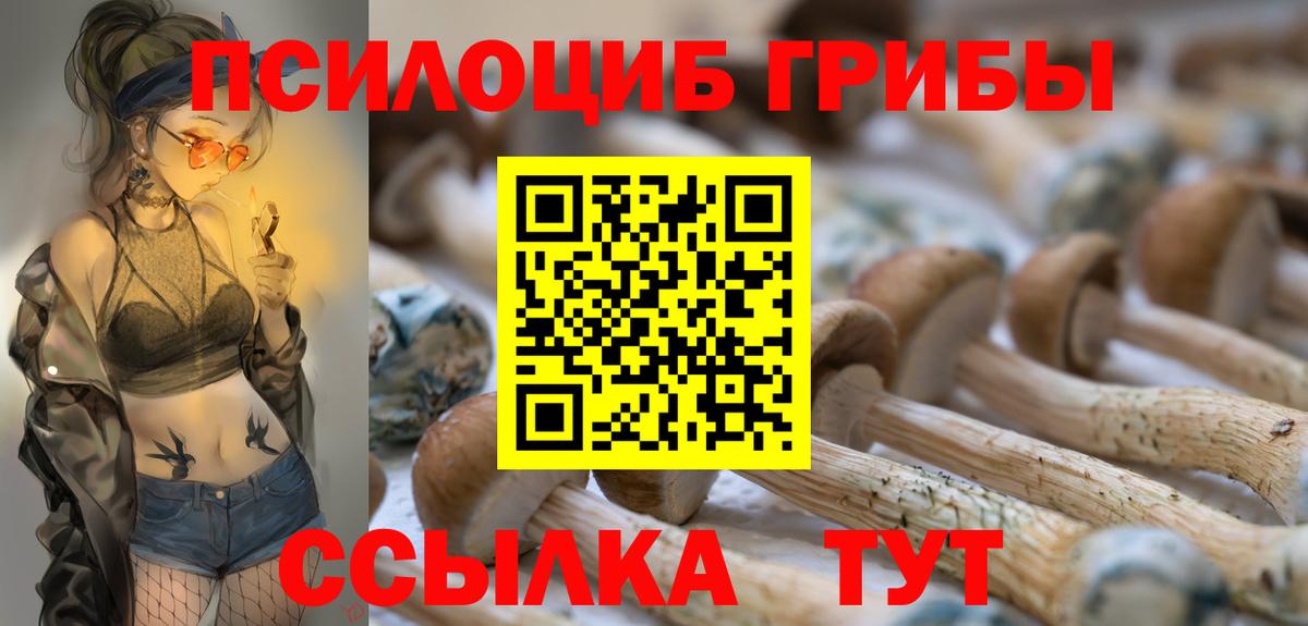 Домодедово  где продают   Вход с VPN  Псилоцибиновые грибы ЛСД 